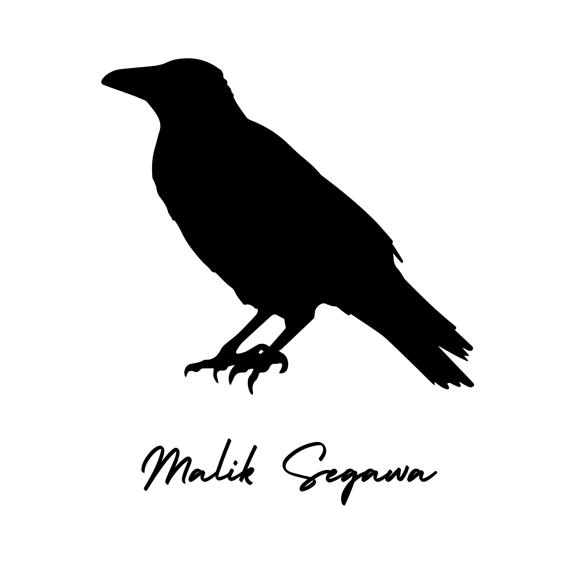 Malik Segawa Galleries